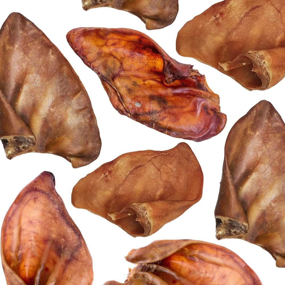 MACED Suszone ucho wieprzowe 2 szt naturalny przysmak dla psa